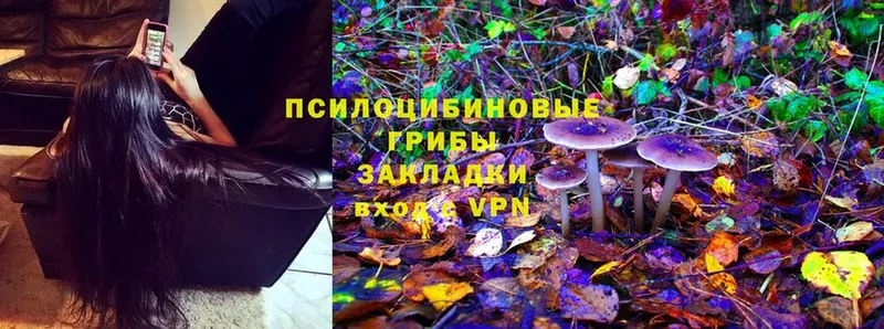 Псилоцибиновые грибы Cubensis  Изобильный 